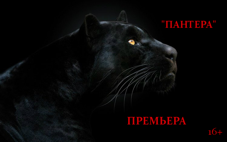 ПАНТЕРА ПАНТЕРА