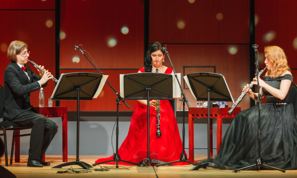 КОНЦЕРТЫ АНСАМБЛЯ SHEPHERD TRIO ТРИО В ТУР.png